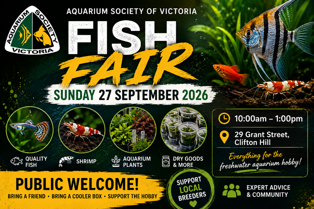 ASOV - Fish Fair - September 27 2026